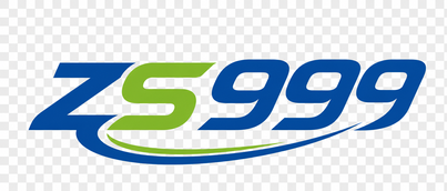 ZS999